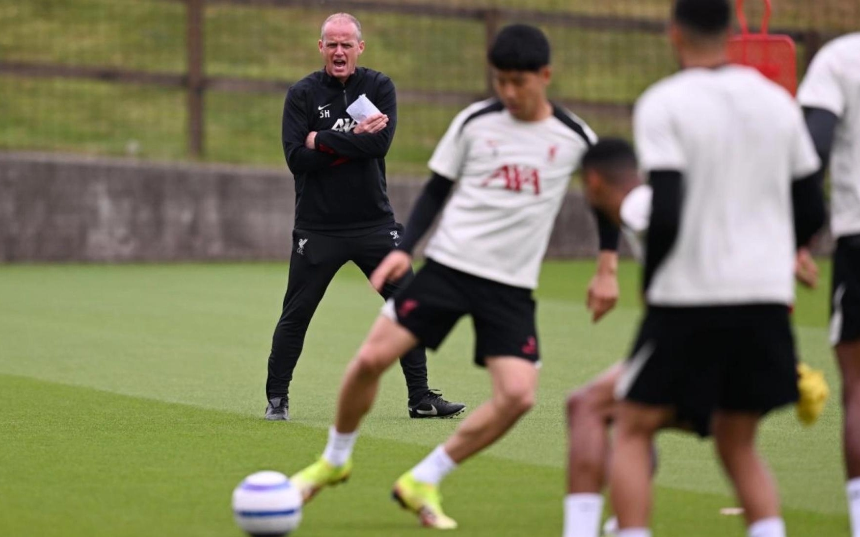 中国网球蓬 中国网球蓬