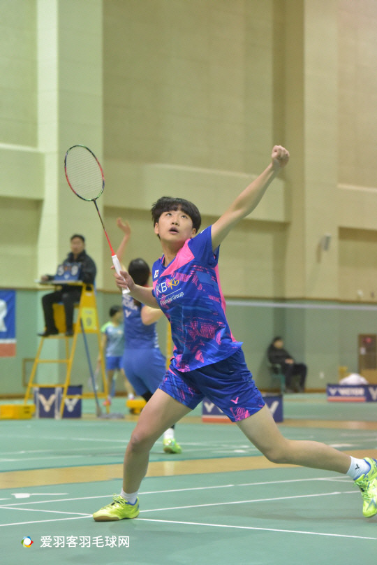 争议地占据 争议地占据