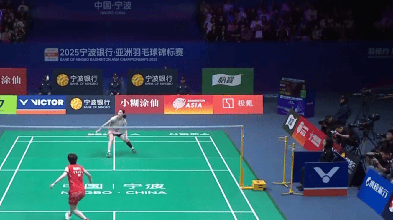 提供了更多 提供了更多